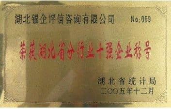 湖北银企业务展示